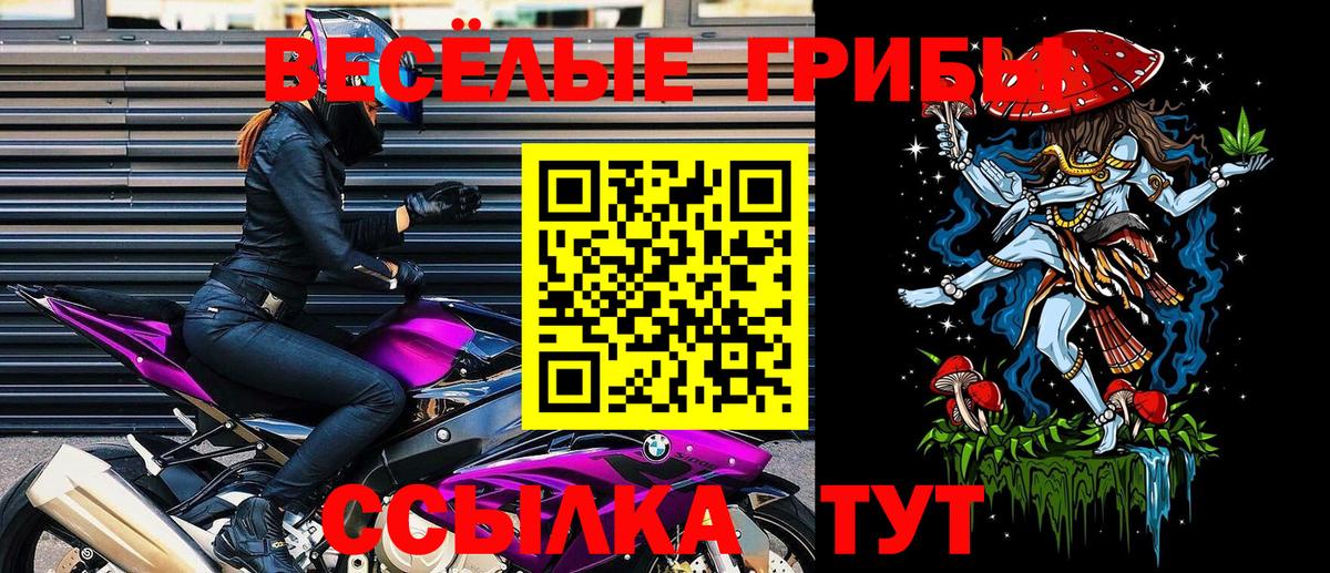 Сланцы  Галлюциногенные грибы прущие грибы  Вход с VPN 